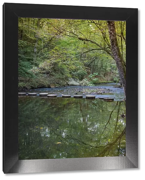 Reflections in Otter Lake Creek, Blue Ridge Parkway, Smoky Mountains, USA