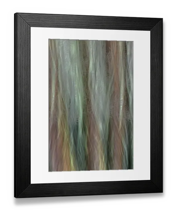 Framed Print : USA, Washington State, Seabeck. Forest fantasy composite in Guillemot Cove Nature Preserve
