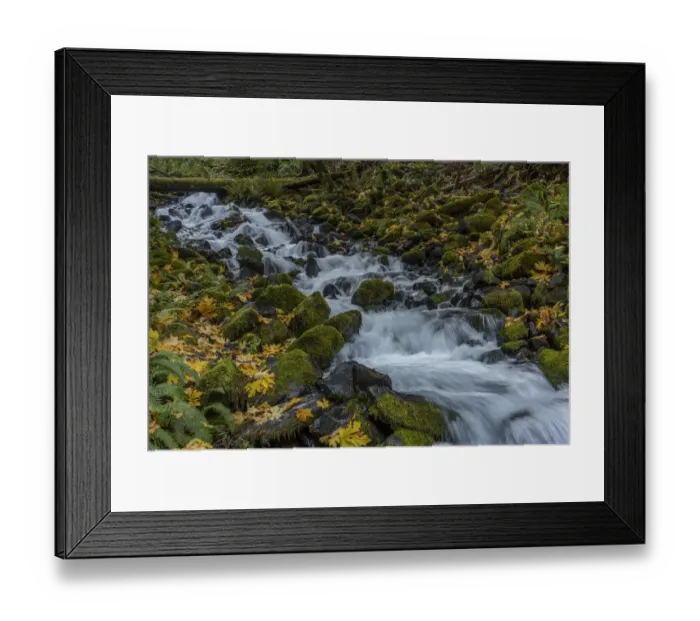 Framed Print : USA, Washington State, Olympic National Park. Creek rapids and forest in autumn Framed Print : USA, Washington State, Olympic National Park. Creek rapids and forest in autumn