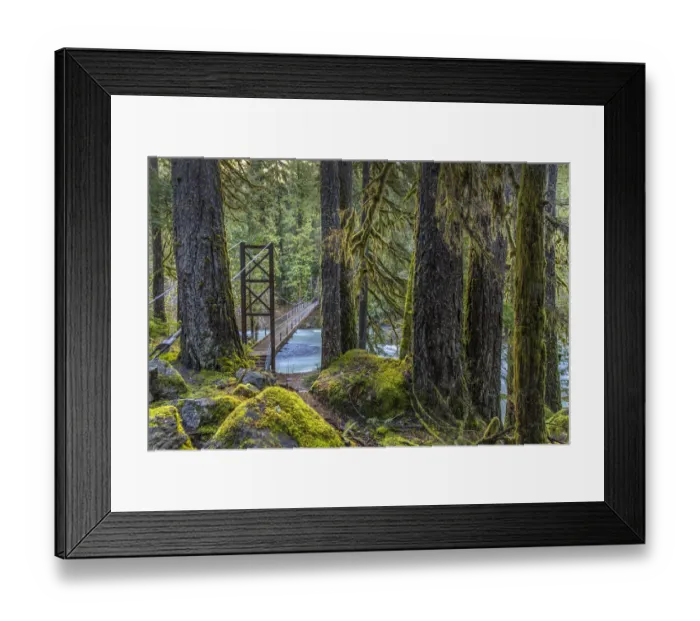 Framed Print : USA, Washington State, Olympic National Park. Bridge across North Fork Skokomish River Framed Print : USA, Washington State, Olympic National Park. Bridge across North Fork Skokomish River
