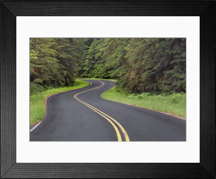 Framed Print : Curving road though lush forest, Olympic National Park, Washington State