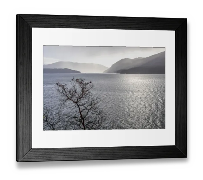 Framed Print : USA, Washington State, Olympic National Forest. Madrone tree silhouetted against Lake Cushman in winter