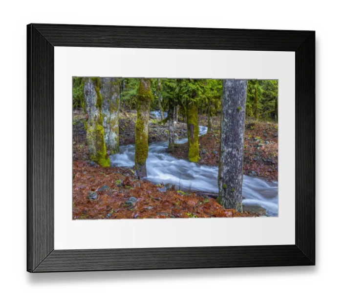 Framed Print : USA, Washington State, Olympic National Park. Skokomish River tributary rushes through forest Framed Print : USA, Washington State, Olympic National Park. Skokomish River tributary rushes through forest