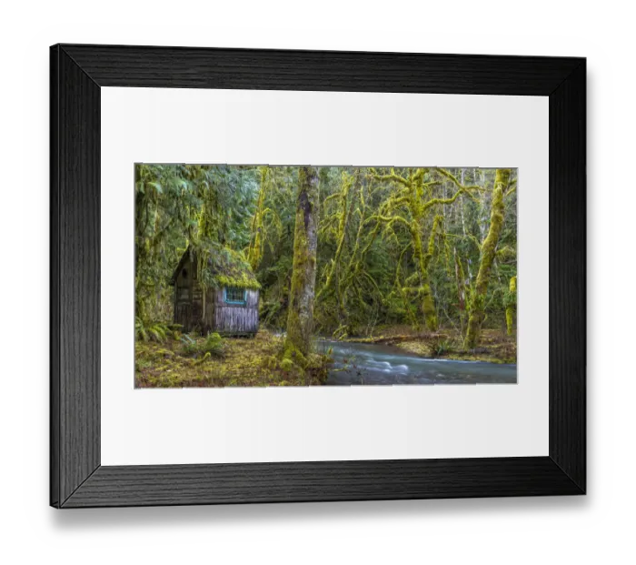 Framed Print : USA, Washington State, Olympic National Park. Weathered cabin beside Elk Creek Framed Print : USA, Washington State, Olympic National Park. Weathered cabin beside Elk Creek