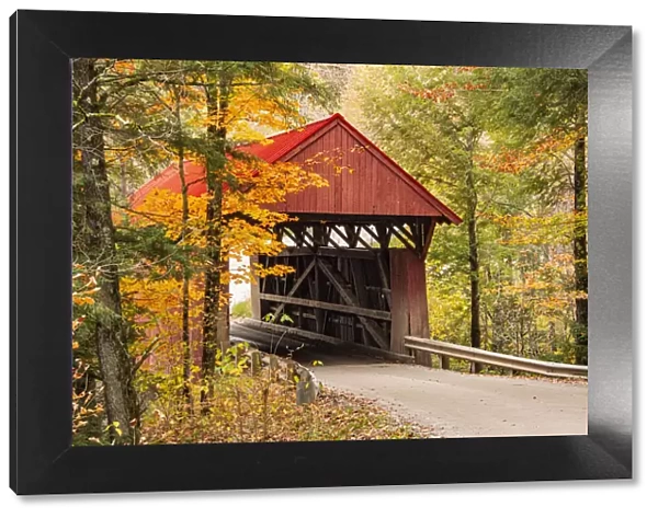 USA, Vermont, Stowe, Sterling Valley Road covered bridge in fall foliage