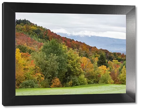 USA, Vermont, Fall foliage on Mount Mansfield