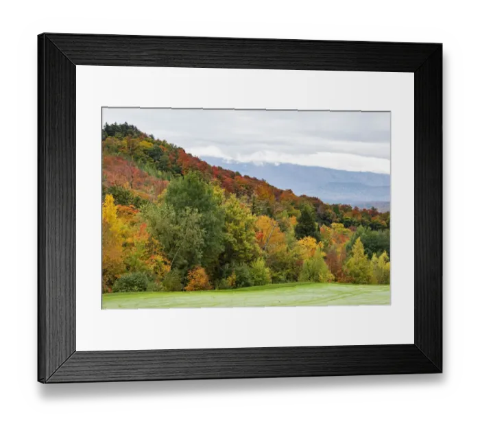 Framed Print : USA, Vermont, Fall foliage on Mount Mansfield Framed Print : USA, Vermont, Fall foliage on Mount Mansfield