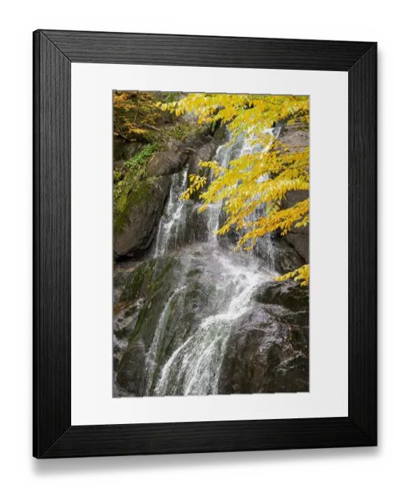 Framed Print : USA, Vermont, Fall foliage in Mad River Valley along trail to Warren Falls