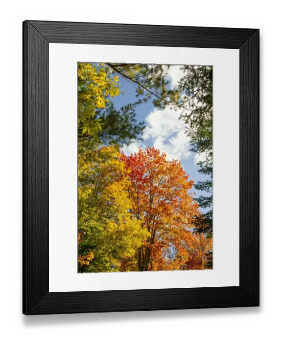 Framed Print : USA, Vermont, Fall foliage in Morrisville on Jopson Lane