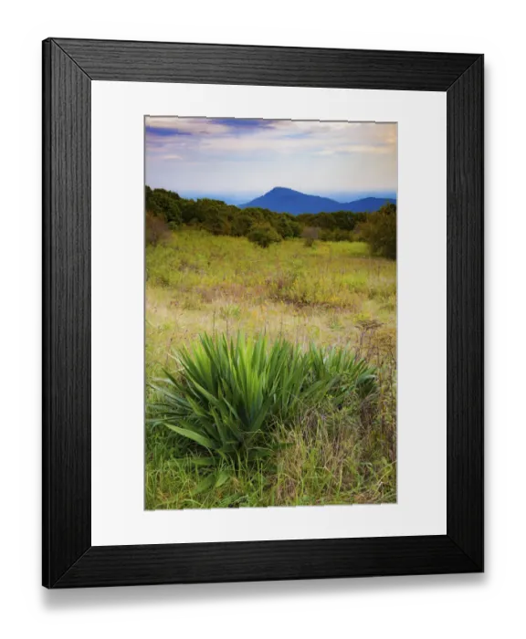 Framed Print : Shenandoah vista, Blue Ridge Parkway, Smoky Mountains, USA Framed Print : Shenandoah vista, Blue Ridge Parkway, Smoky Mountains, USA