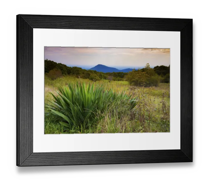 Framed Print : Shenandoah vista, Blue Ridge Parkway, Smoky Mountains, USA