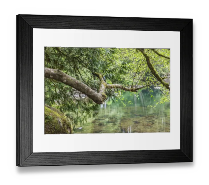 Framed Print : Moulton Falls Regional Park, Yacolt, Washington State, USA. Reflections in the East Fork Lews River Framed Print : Moulton Falls Regional Park, Yacolt, Washington State, USA. Reflections in the East Fork Lews River