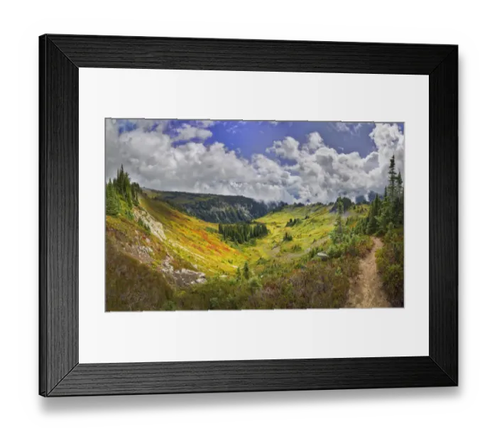 Framed Print : USA, Washington State, Mt. Rainier National Park. Stevens Creek Valley as seen from the Skyline Trial Framed Print : USA, Washington State, Mt. Rainier National Park. Stevens Creek Valley as seen from the Skyline Trial