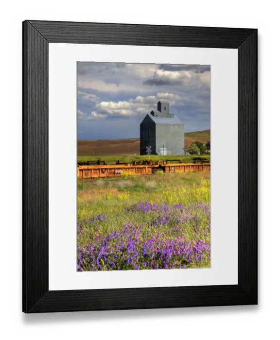 Framed Print : USA, Washington State, Palouse. Old silo with wildflowers in the foreground in the town of Wauconda in Eastern Washington