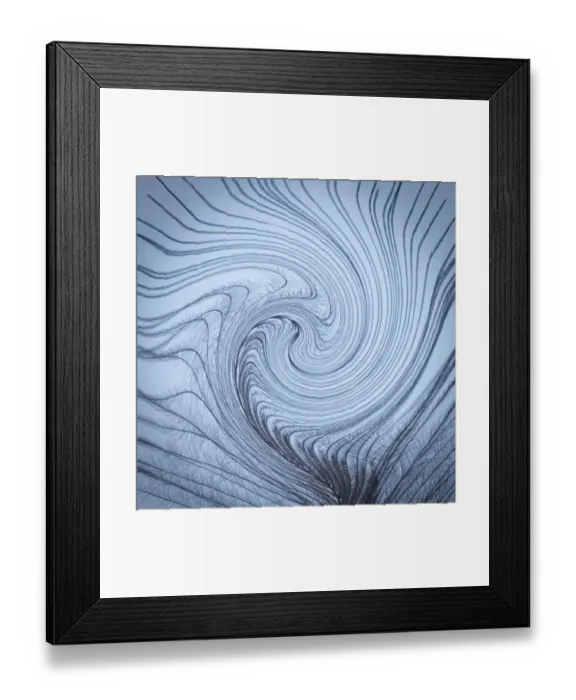 Framed Print : USA, Washington State, Seabeck. Downy feather with a twist