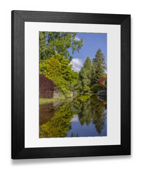 Framed Print : USA, Washington State, Brinnon. Whitney Garden and Nursery landscape reflects in pond