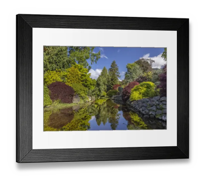 Framed Print : USA, Washington State, Brinnon. Whitney Garden and Nursery landscape reflects in pond Framed Print : USA, Washington State, Brinnon. Whitney Garden and Nursery landscape reflects in pond