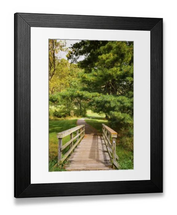 Framed Print : Path, Peaks Of Otter, Blue Ridge Parkway, Smoky Mountains, USA Framed Print : Path, Peaks Of Otter, Blue Ridge Parkway, Smoky Mountains, USA
