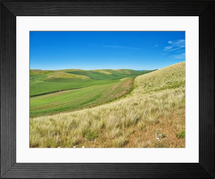 Framed Print : USA, Washington State, Palouse. Crop lines and patterns Framed Print : USA, Washington State, Palouse. Crop lines and patterns