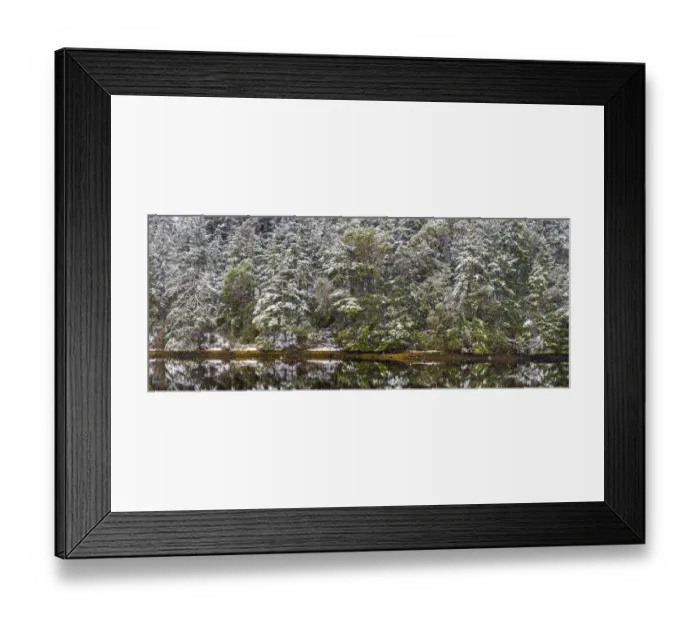 Framed Print : USA, Washington State, Seabeck, Misery Point Preserve. Panoramic of forest reflections in lagoon Framed Print : USA, Washington State, Seabeck, Misery Point Preserve. Panoramic of forest reflections in lagoon