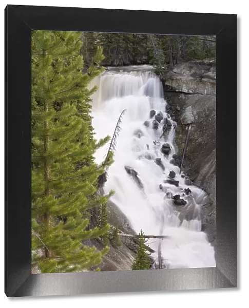 USA, Wyoming, Shoshone National Forest. Brooks Lake Creek Falls landscape