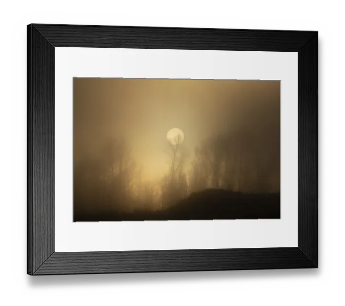 Framed Print : USA, Wyoming, Bridger-Teton National Forest. Trees silhouetted by foggy spring sunrise