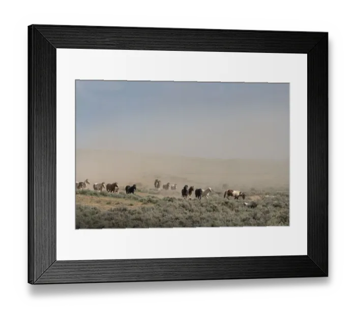 Framed Print : USA, Wyoming. Wild horses create dust cloud while trotting to desert waterhole Framed Print : USA, Wyoming. Wild horses create dust cloud while trotting to desert waterhole