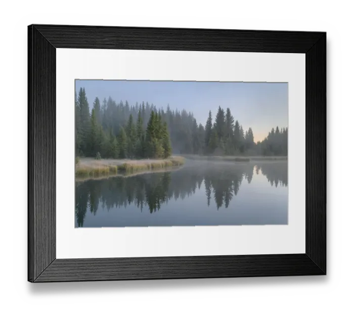 Framed Print : Morning fog at Schwabacher Landing, Grand Teton National Park, Wyoming