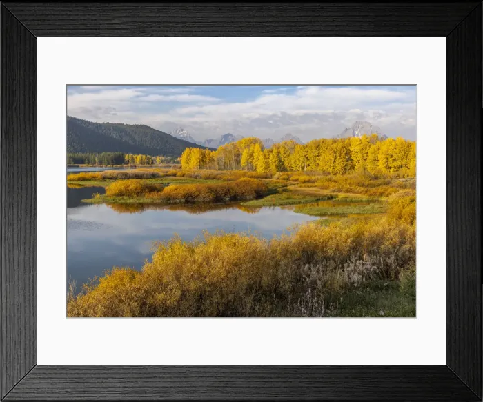 Framed Print : Mt. Moran and golden aspen trees from Oxbow Bend, Grand Teton National Park, Wyoming Framed Print : Mt. Moran and golden aspen trees from Oxbow Bend, Grand Teton National Park, Wyoming