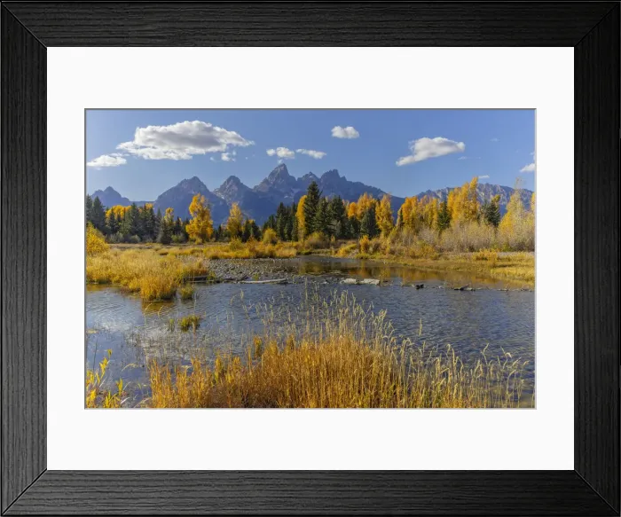 Framed Print : Teton Range reflected on beaver pond at Schwabacher Landing, Grand Teton National Park, Wyoming
