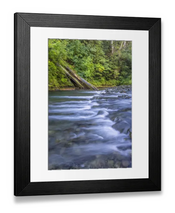 Framed Print : USA, Washington State, Olympic National Forest. Rapids on Duckabush River Framed Print : USA, Washington State, Olympic National Forest. Rapids on Duckabush River