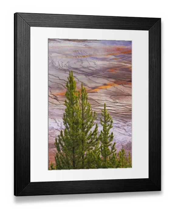 Framed Print : Elevated view of Grand Prismatic spring and colorful bacterial mat, Yellowstone National Park, Wyoming Framed Print : Elevated view of Grand Prismatic spring and colorful bacterial mat, Yellowstone National Park, Wyoming