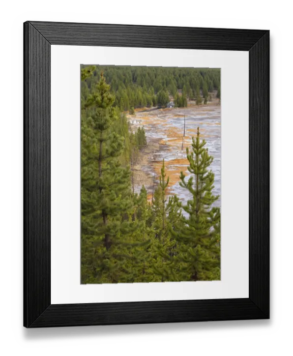 Framed Print : Elevated view of runoff water and bacterial mat, Grand Prismatic spring and colorful bacterial mat, Yellowstone National Park, Wyoming Framed Print : Elevated view of runoff water and bacterial mat, Grand Prismatic spring and colorful bacterial mat, Yellowstone National Park, Wyoming