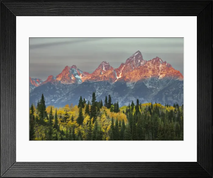 Framed Print : Autumn view of Teton Range at sunrise, Grand Teton National Park, Wyoming