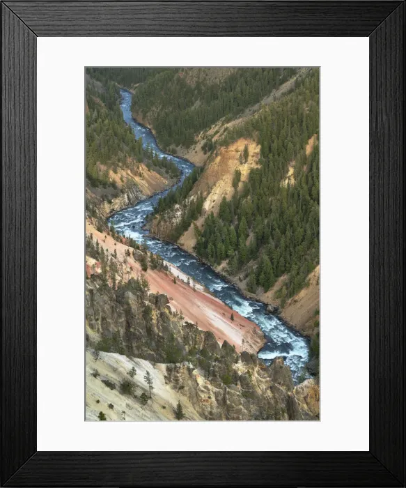 Framed Print : Yellowstone River cutting through colorful rhyolite cliffs, Grand Canyon of the Yellowstone, Yellowstone National Park Framed Print : Yellowstone River cutting through colorful rhyolite cliffs, Grand Canyon of the Yellowstone, Yellowstone National Park