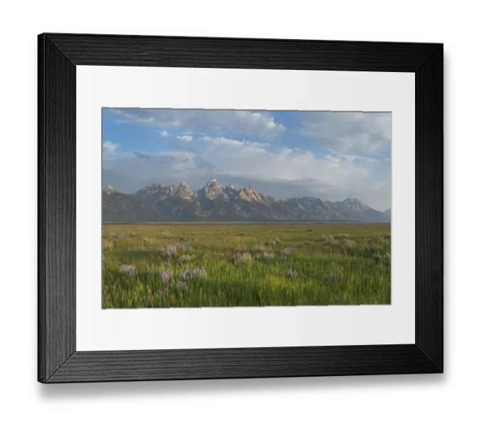Framed Print : Antelope Flats, Grand Teton National Park Framed Print : Antelope Flats, Grand Teton National Park