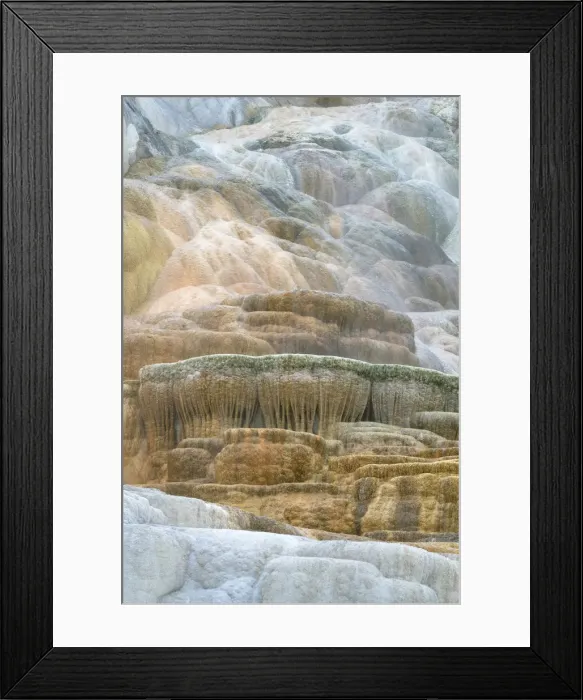 Framed Print : Palette Spring Terraces composed of travertine deposits colored by thermophilic bacteria. Mammoth Hot Springs, Yellowstone National Park Framed Print : Palette Spring Terraces composed of travertine deposits colored by thermophilic bacteria. Mammoth Hot Springs, Yellowstone National Park