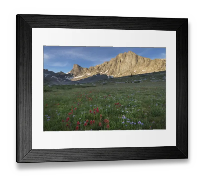 Framed Print : Pronghorn and Dragon Head Peaks, near Lee Lake, Bridger Wilderness. Wind River Range, Wyoming