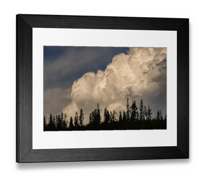 Framed Print : Trees silhouetted against cumulus cloud, Yellowstone National Park, Wyoming Framed Print : Trees silhouetted against cumulus cloud, Yellowstone National Park, Wyoming