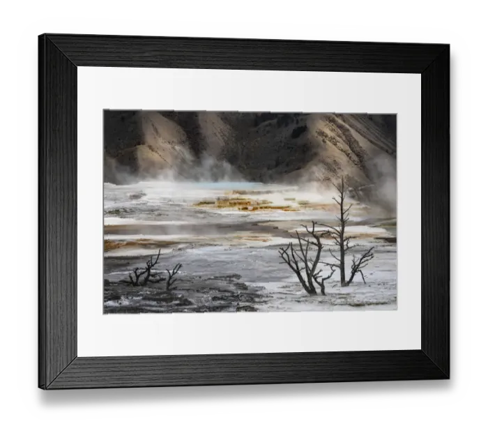 Framed Print : Black tree trunks and colorful hot spring terrace, Canary Spring, Mammoth Hot Springs, Yellowstone National Park, Wyoming Framed Print : Black tree trunks and colorful hot spring terrace, Canary Spring, Mammoth Hot Springs, Yellowstone National Park, Wyoming
