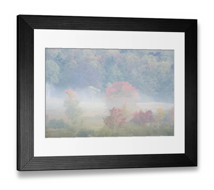 Framed Print : USA, West Virginia, Davis. Foggy forest in fall colors Framed Print : USA, West Virginia, Davis. Foggy forest in fall colors