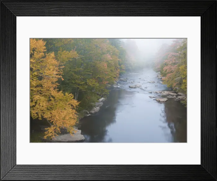 Framed Print : USA, West Virginia, Davis. Foggy stream in Blackwater State Park Framed Print : USA, West Virginia, Davis. Foggy stream in Blackwater State Park