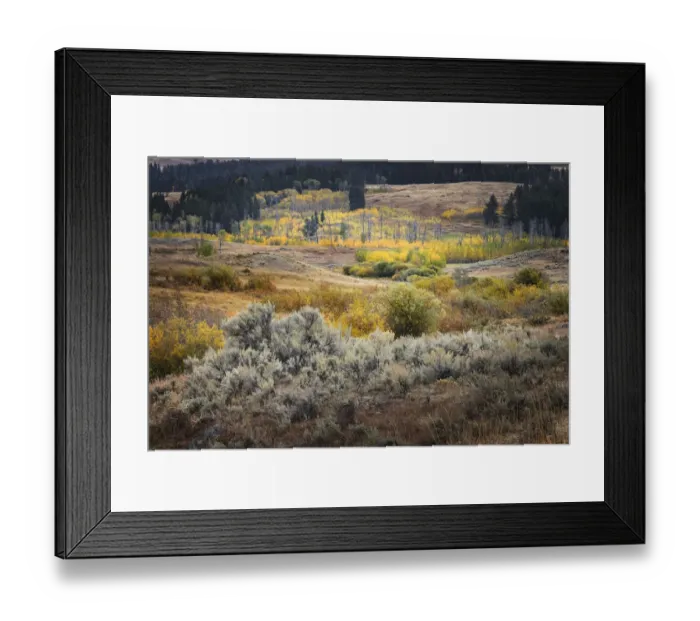 Framed Print : Scenic landscape view of Lamar Valley with aspen trees and sagebrush, Yellowstone National Park, Wyoming Framed Print : Scenic landscape view of Lamar Valley with aspen trees and sagebrush, Yellowstone National Park, Wyoming