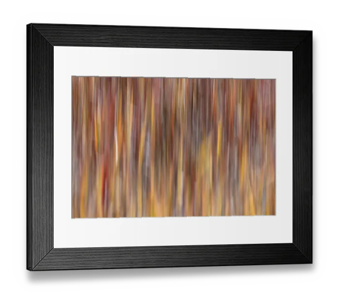 Framed Print : Motion effect on autumn vegetation, Yellowstone National Park, Wyoming Framed Print : Motion effect on autumn vegetation, Yellowstone National Park, Wyoming