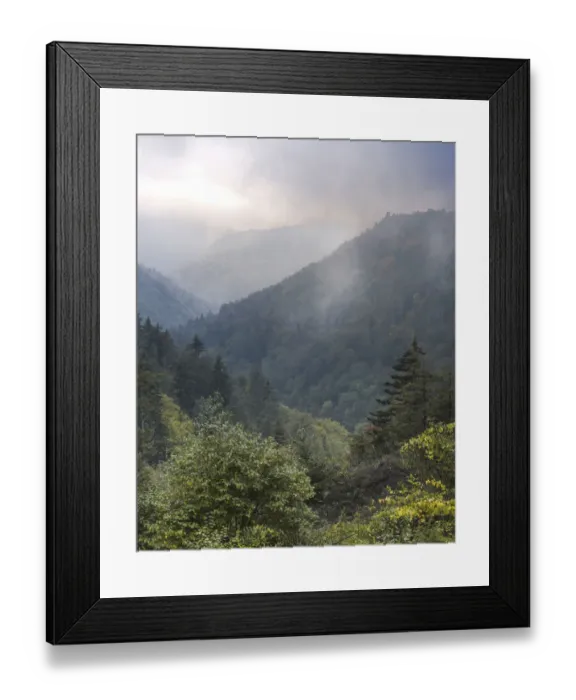 Framed Print : USA, West Virginia, Davis. Forested mountain landscape in fog Framed Print : USA, West Virginia, Davis. Forested mountain landscape in fog