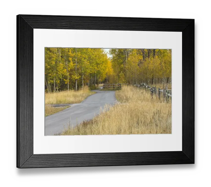 Framed Print : Bike path in autumn, Grand Teton National Park, Wyoming Framed Print : Bike path in autumn, Grand Teton National Park, Wyoming