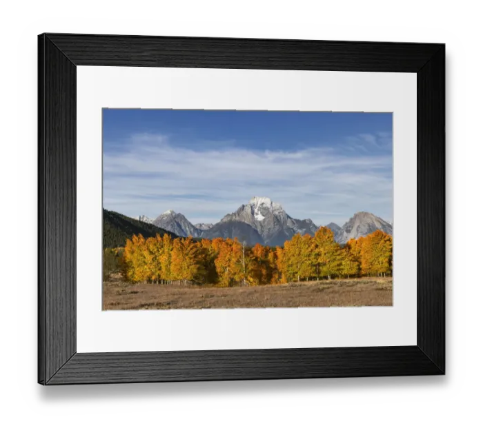 Framed Print : Autumn view of Mount Moran and Snake River, Grand Teton National Park, Wyoming