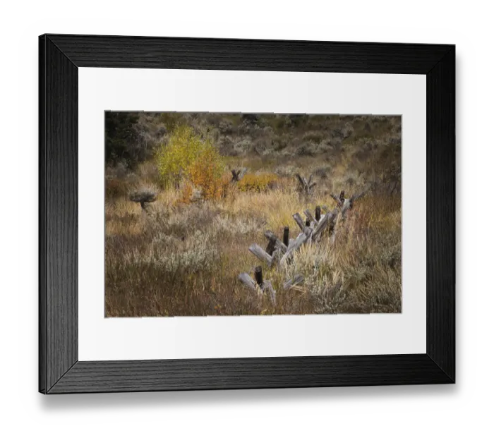 Framed Print : Rail fence in autumn, Grand Teton National Park, Wyoming Framed Print : Rail fence in autumn, Grand Teton National Park, Wyoming
