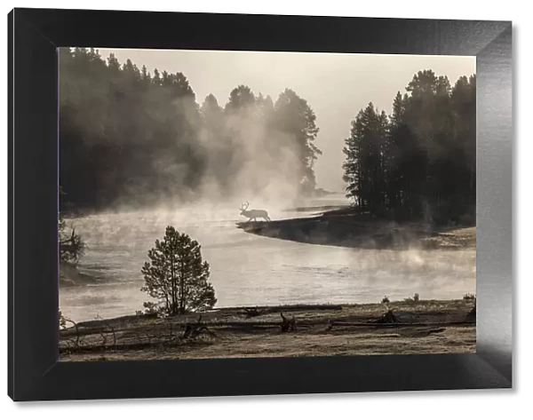 Morning mist on Yellowstone River, Yellowstone National Park, Wyoming