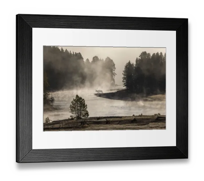 Framed Print : Morning mist on Yellowstone River, Yellowstone National Park, Wyoming